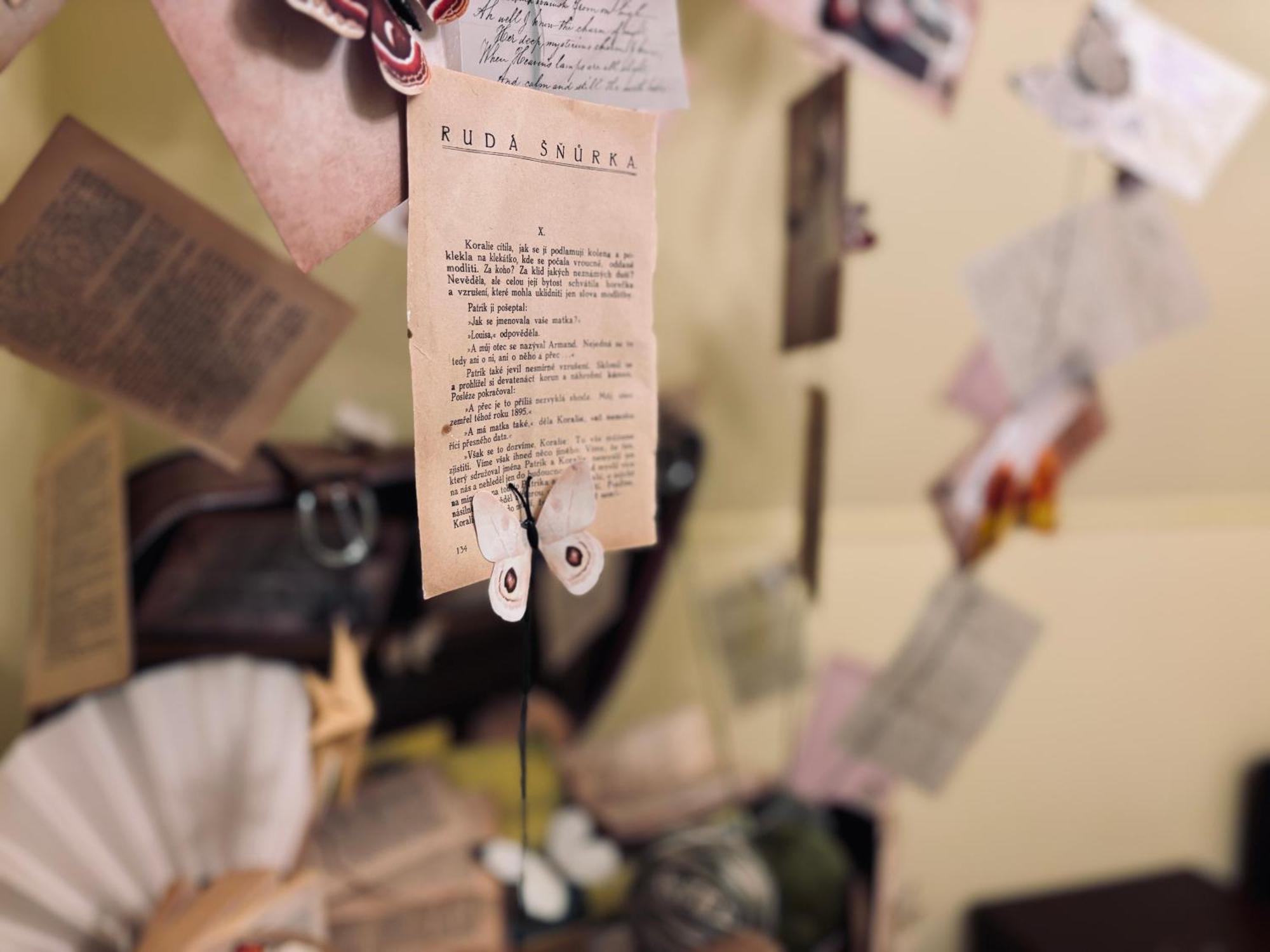 Poet'S Theme Room, Free Parking Karlsbad Eksteriør billede